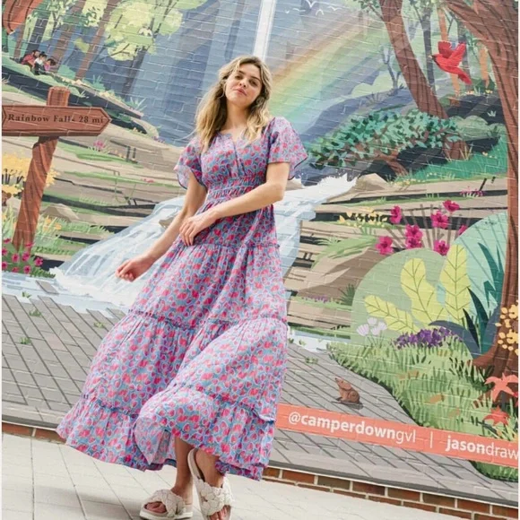 NWT Briton Court SIZE medium Willow Maxi Dress | Strawberries - Picture 2 of 7